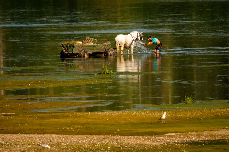Central Europe swelters and Slovakia and Austria hit their record high temperatures