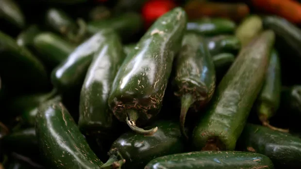 Jalapeno-linked salmonella outbreak hits 27 U.S. states. What's the risk in Canada?