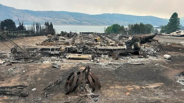 B.C. rancher describes Bradley Creek fire's 'path of destruction' that decimated her home