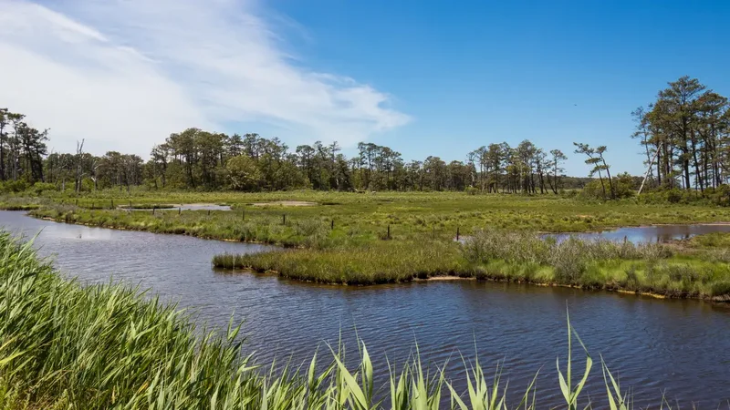 Virginia moves refuge parking lot 2.5 miles so dunes and saltmarsh can return