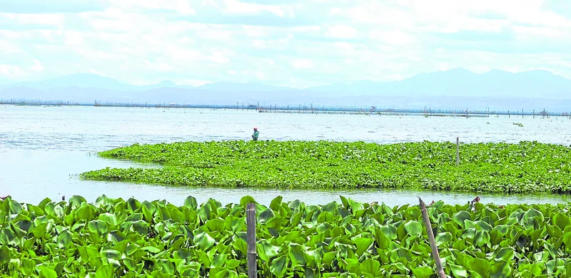 Laguna de Bay rises to 12.08 meters amid persistent habagat rains