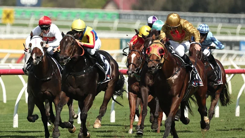 Tips and previews for racing at Gosford on Thursday
