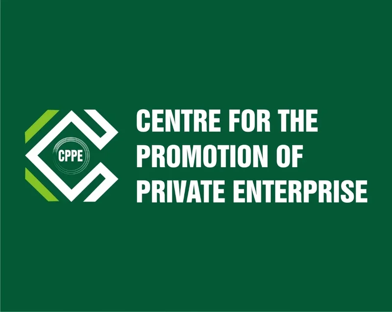 CBN monetary tightening worsening Nigeria’s N50tn development finance gap – CPPE