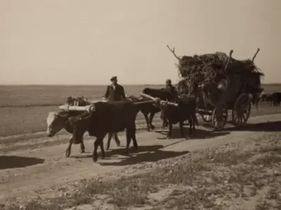 The anatomy of erasure: Indigenous Assyrian women and forgotten genocide