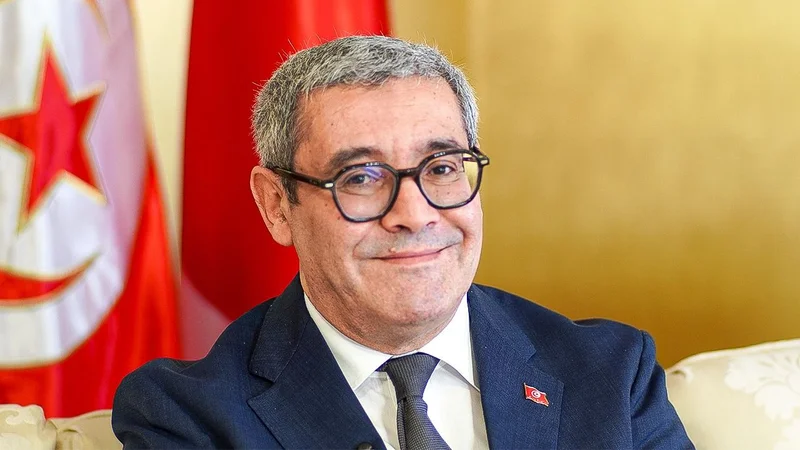 Comfort, Security, and Shared Values: Tunisian Ambassador Ahmed Chafra on Life in Japan