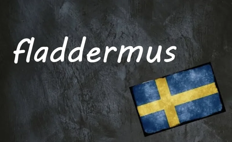 Swedish word of the day: fladdermus