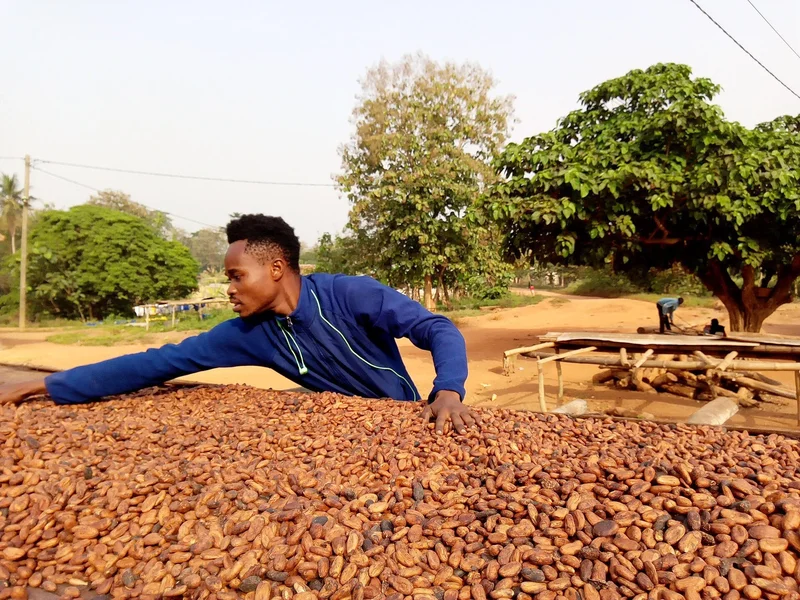 Ghana Exports Surpass Imports After Two Decades of Trade Imbalances
