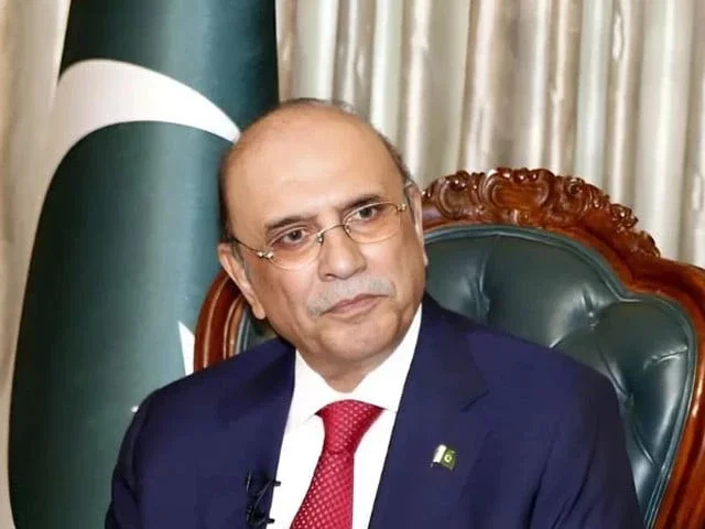 Zardari meets Naqvi amid 'system reset' debate