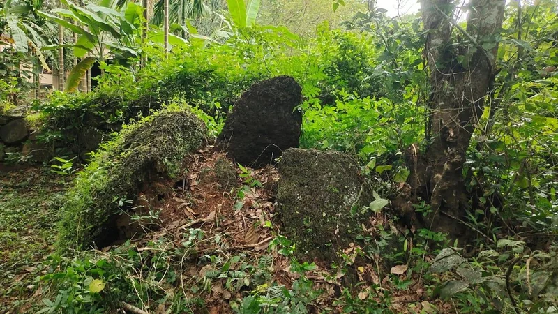 Keralam Archaeology department to restore seven megalithic umbrella stones in Kannur