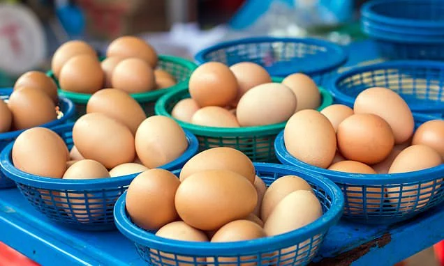 How to diversify your investments and avoid the most common traps - plus 18 fund tips