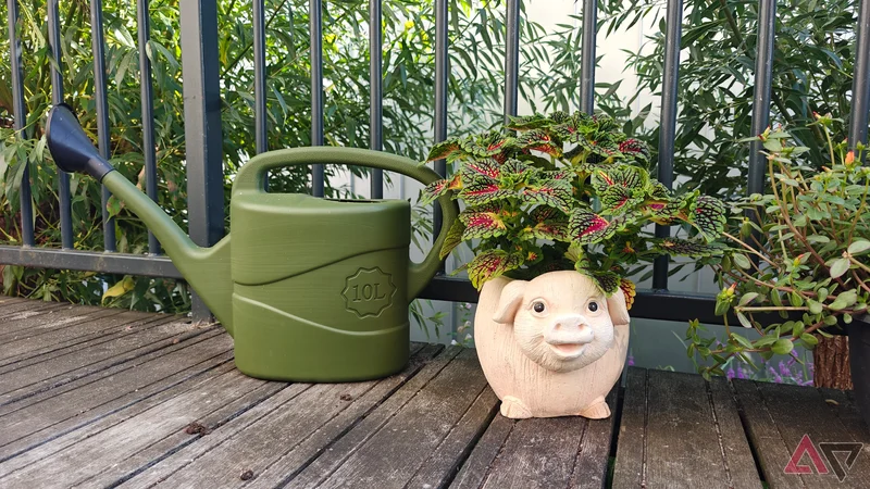 I gave my house a brain instead of another smart bulb; my plants stopped dying
