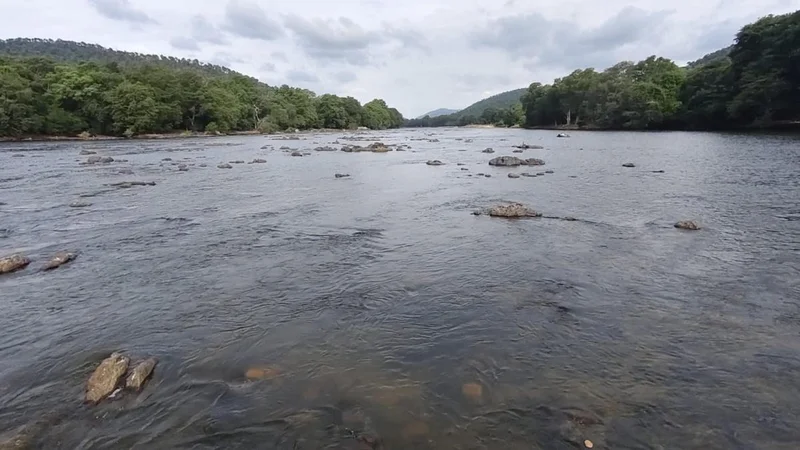 Cauvery Authority chief calls for better agricultural and water management practices, formation of river board to resolve dispute