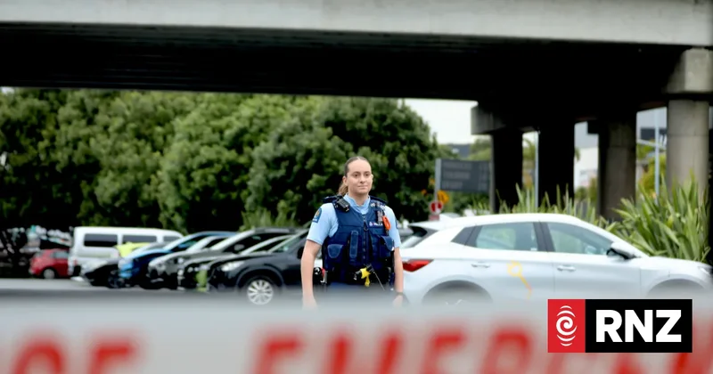 Sylvia Park shooting: Man fatally shot by police was on community detention