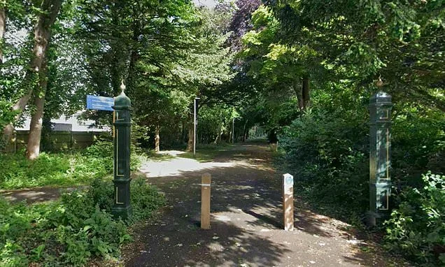 Man in his 60s is arrested after woman in her 40s is 'raped' on woodland path near Bournemouth seafront