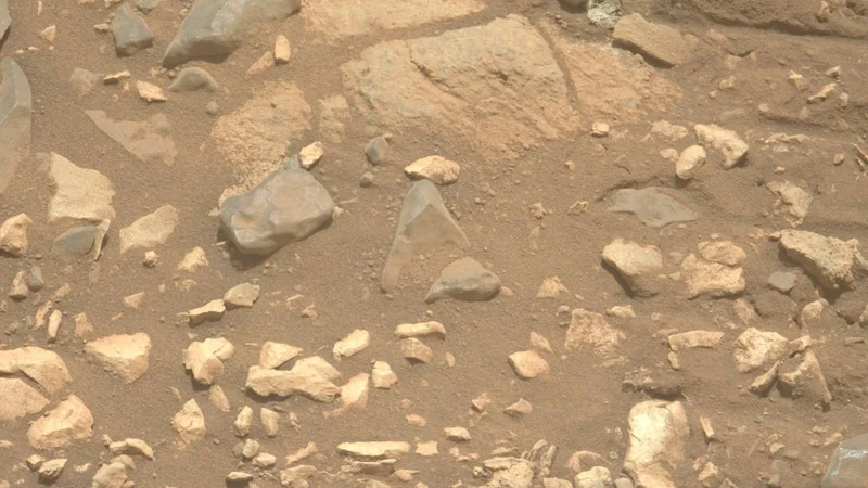 Mars dust is toxic. How will future astronauts deal with it?