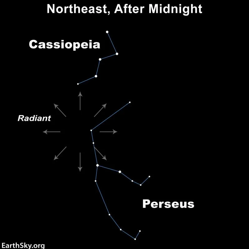 Perseid meteor shower 2026: All you need to know