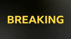GB's Hunt wins European 100m gold