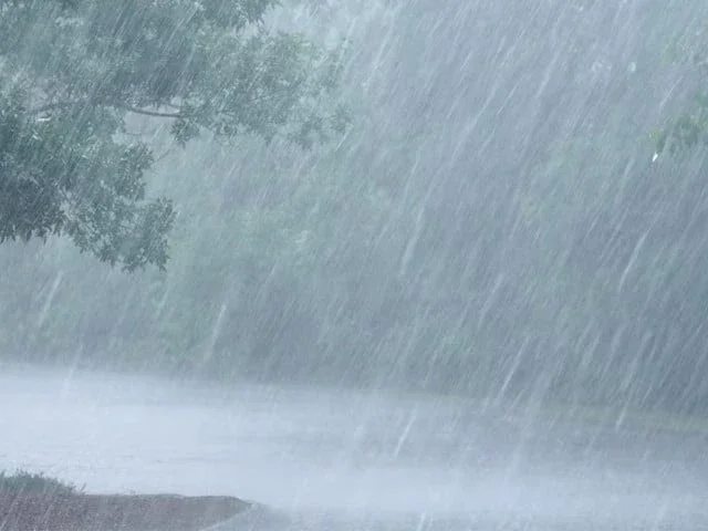 Monsoon downpour swamps Pindi