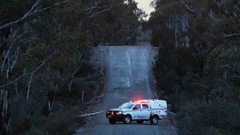 Suitcase dumped in NSW bushland did not contain human remains, police confirm
