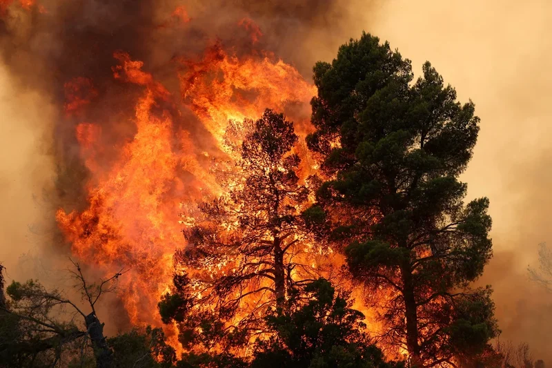 European wildfires in numbers: How record-breaking heatwaves have scorched the continent