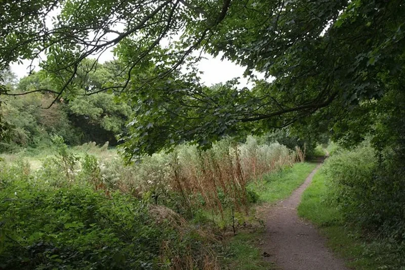 Boy, 12, drowns in river in north-east London