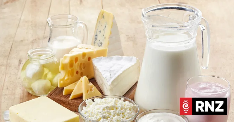 Dairy prices rally at latest global auction as El Niño threatens to disrupt Southern Hemisphere