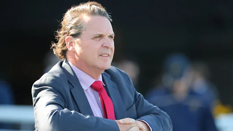 Freedman colt headlines all-metro maiden at Goulburn