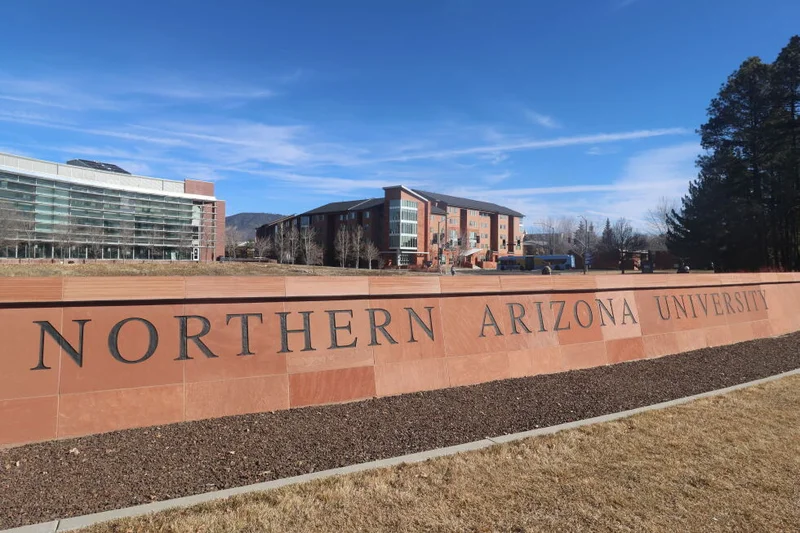 Ex-fraternity member pleads guilty to hazing an Arizona university pledge to death