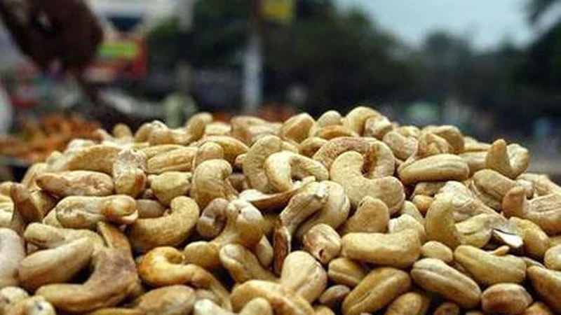 Kerala cashew import scam: K.A. Ratheesh resigns from three key posts amid CBI corruption charges