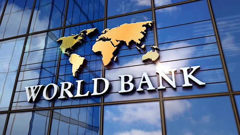 AI tools must be adapted to local languages, institutions to work effectively – World Bank