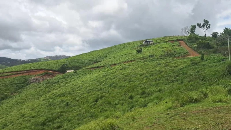 Revenue department set to cancel illegal land titles in Wagamon Meadows