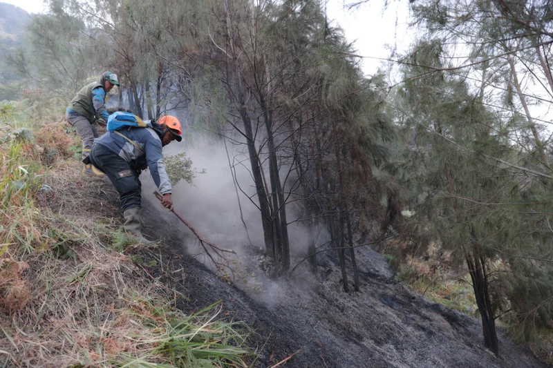 Wildfire at Indonesia’s Mount Bromo mostly contained as smoke forces school closures