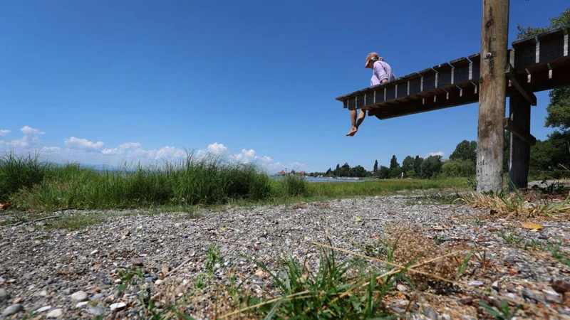 Germany records 14,000 heat-related deaths this summer as heatwaves scorch Europe