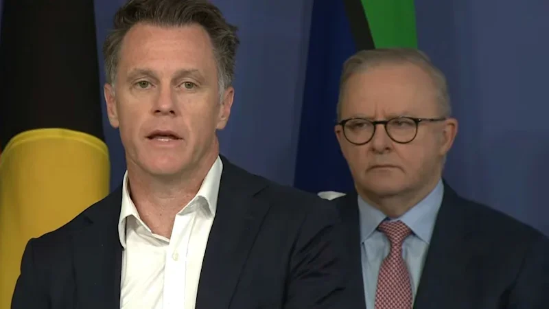 Premier ‘did his own research’ on gun buybacks, committee hears