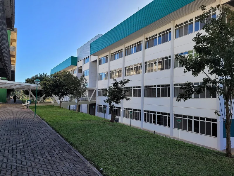 Ânima Profit Triples to US$5.6 Million in Q2 2026 on Fatter Margins