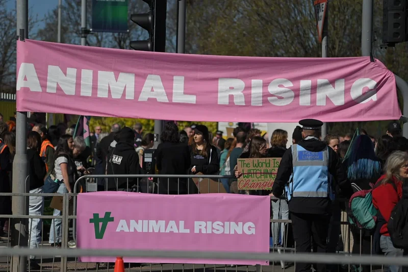 Animal rights campaigners sue Met Police over wrongful arrests before King’s Coronation