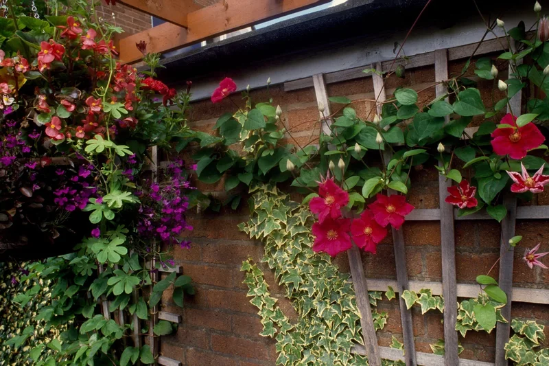 Gardening expert shares seven ways to help wildlife thrive in your small garden