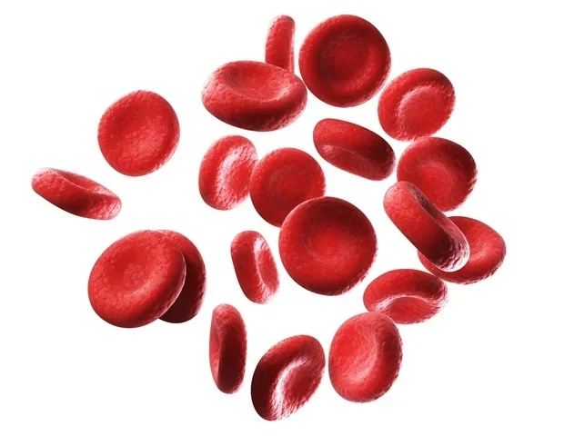 Engineered red blood cell vesicles improve gene therapy delivery