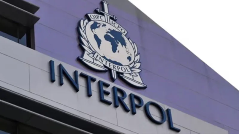 AI enables over half of cybercrime in Africa – Interpol