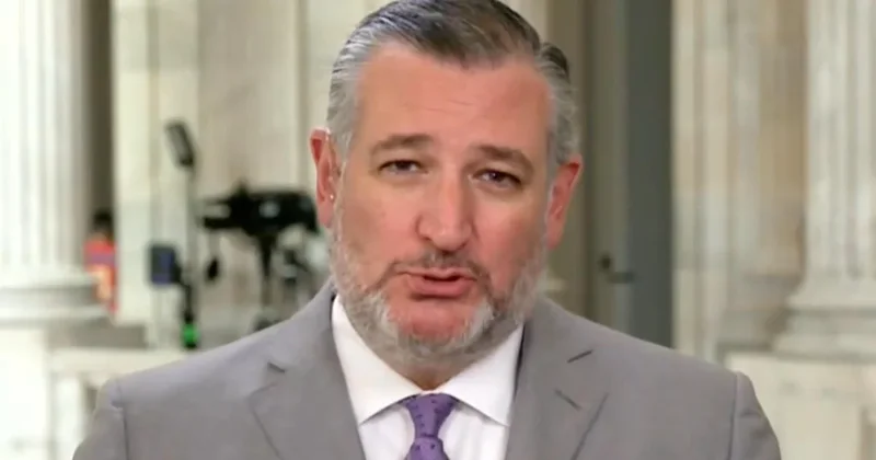 Sen. Ted Cruz on future of AI, Texas Senate race and more
