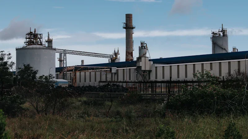How much is a job worth? At Tomago, it’s $2.5 million in taxpayer cash