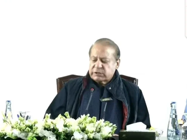 Nawaz seeks to ease tensions with PPP, says political differences should not become hostility