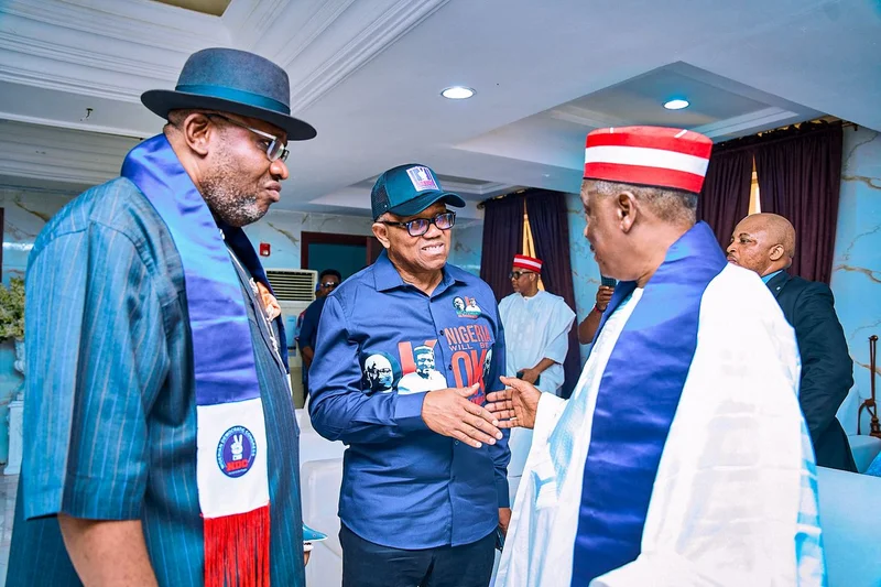 2027: Peter Obi, Kwankwaso, Dickson meet amid major crisis in support groups