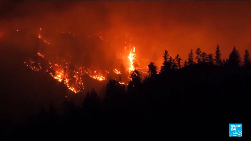 Octogenarian is first killed in British Columbia wildfire