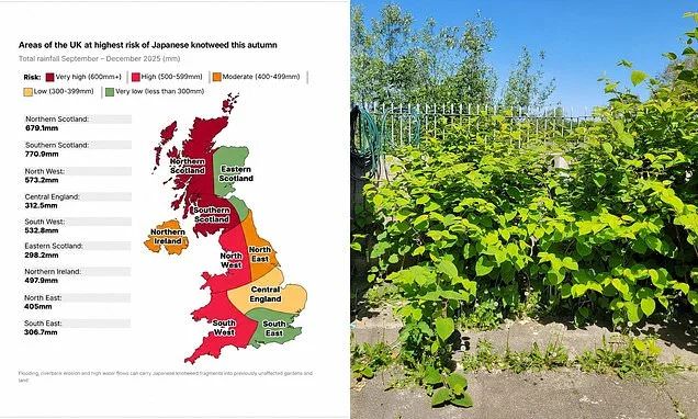 Revealed: The areas most at risk from Japanese Knotweed this autumn - and it's bad news for people in the north