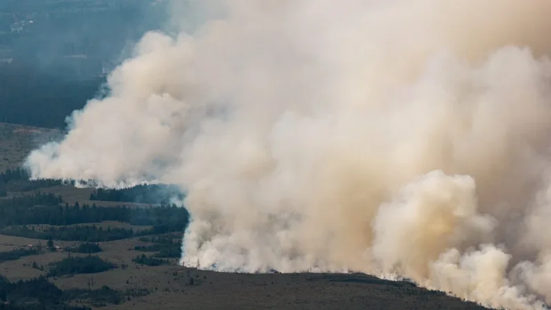 Belgium battles worst wildfire on record, EU allies come to aid