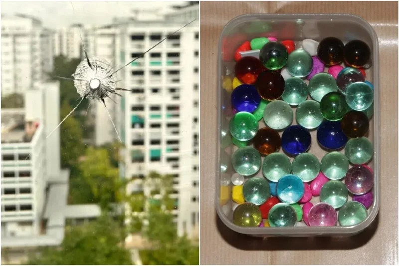 Man arrested for allegedly shooting marbles at birds and damaging window in Woodlands