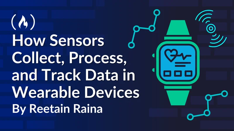How Sensors Collect, Process, and Track Data in Wearable Devices