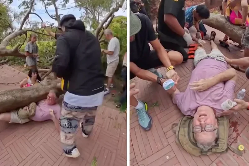Thai locals rescue Spanish tourists trapped under fallen tree in freak accident