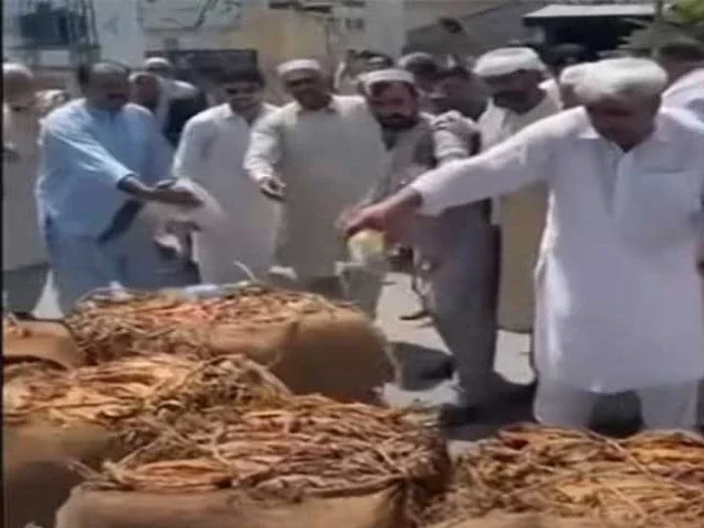 Swabi tobacco growers burn crop, protest